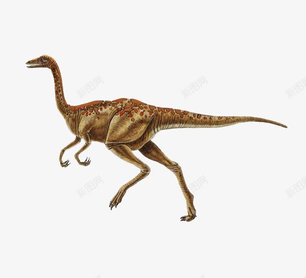 红色斑点黄色恐龙png免抠素材_新图网 https://ixintu.com 侏罗纪 动物 恐龙 斑点 红色