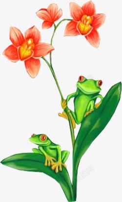 卡通青蛙绿色叶子红色花素材