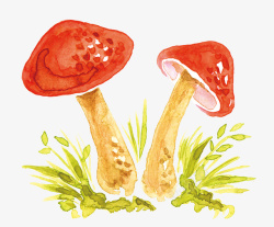 水彩手绘蘑菇装饰元素素材