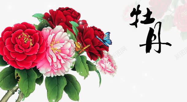 牡丹花png免抠素材_新图网 https://ixintu.com png图片素材 免费png素材 叶子 红色 花卉 花朵 花朵素材