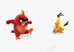 愤怒的小鸡愤怒的小鸡高清图片