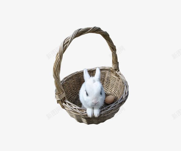 竹篮小白兔png免抠素材_新图网 https://ixintu.com 兔子 可爱 实物 白兔 竹篮 鸡蛋
