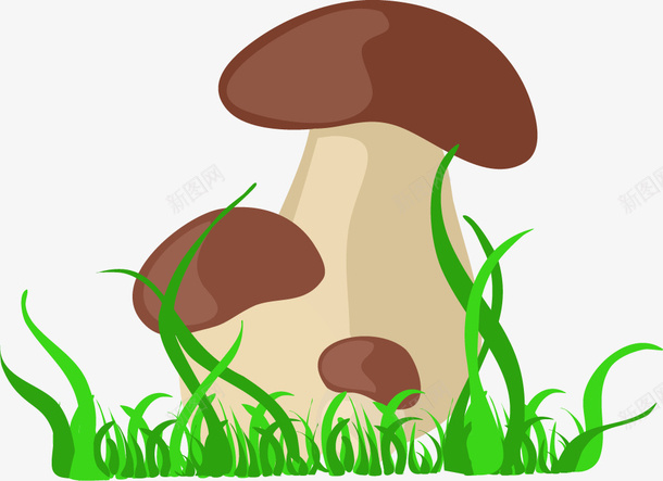 手绘卡通多个小蘑菇png免抠素材_新图网 https://ixintu.com 卡通 手绘 植物 蘑菇