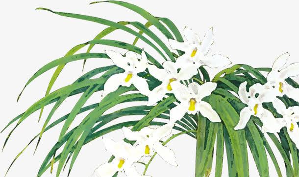 白色花朵植物美景水墨png免抠素材_新图网 https://ixintu.com 植物 水墨 白色 美景 花朵