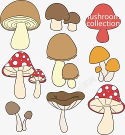 手绘卡通蘑菇菌类素材