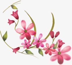 粉色手绘水彩花朵植物素材