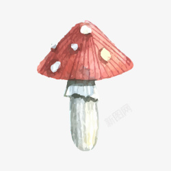 水墨风水彩蘑菇矢量图素材