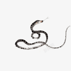 吐信字的蛇水墨中国风蛇高清图片
