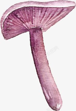 菌类养生手绘紫色蘑菇高清图片