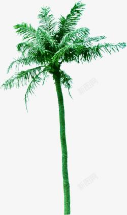 创意摄影海边的绿色椰子树素材