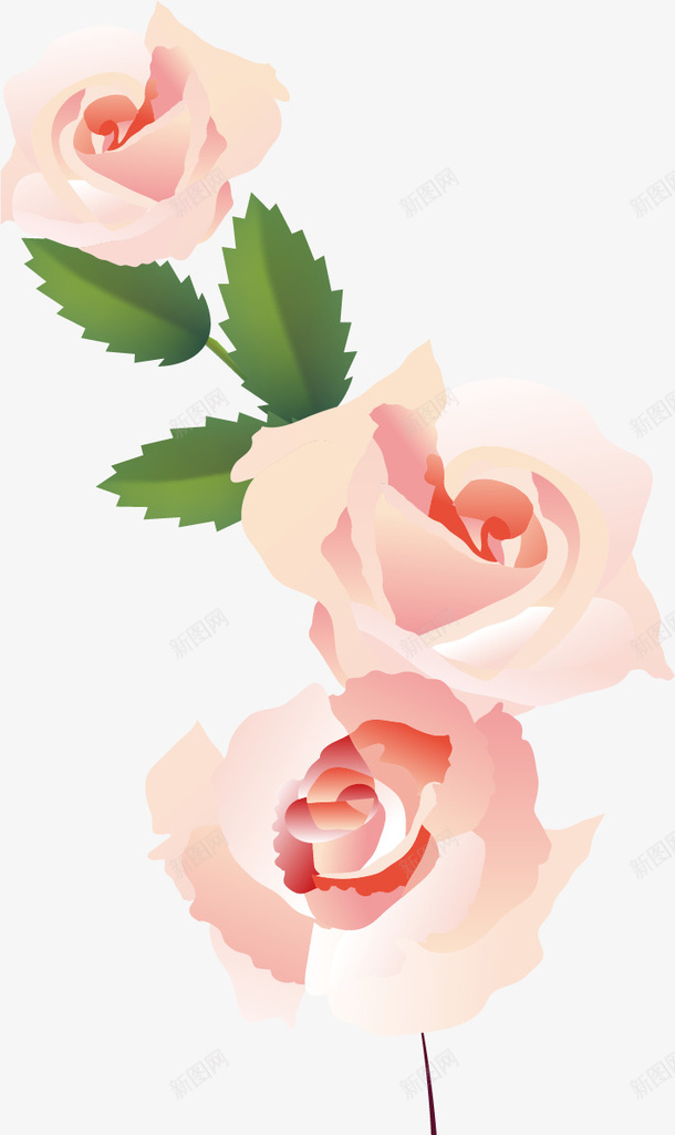 粉色花朵装饰图案png免抠素材_新图网 https://ixintu.com 矢量花朵 粉色花朵 背景矢量 花朵 装饰