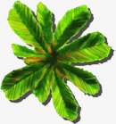 绿色手绘植物景观装饰png免抠素材_新图网 https://ixintu.com 景观 植物 绿色 装饰