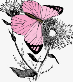 粉红色蝴蝶采花蜜矢量图素材