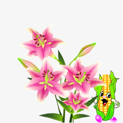 粉色花和玉米花高清图片