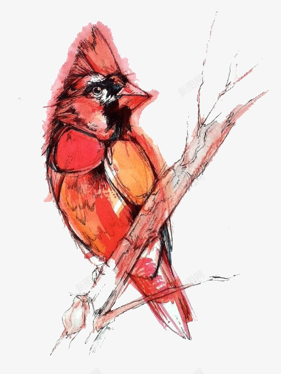 创意小鸟水彩画png免抠素材_新图网 https://ixintu.com 创意 动物 小鸟 彩绘 彩色 手绘 水彩画