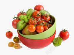 新鲜的小番茄水果素材