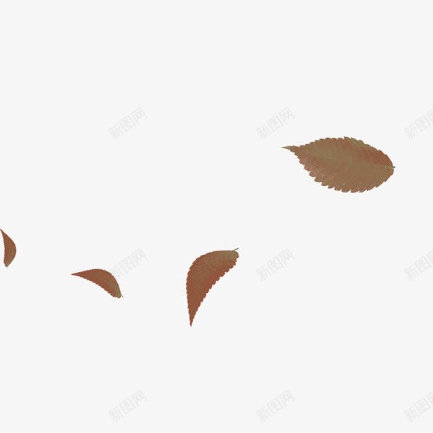 褐色简约树叶漂浮png免抠素材_新图网 https://ixintu.com 免抠PNG 树叶 漂浮素材 简约 褐色