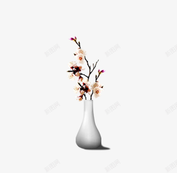 美丽的小花瓶png免抠素材_新图网 https://ixintu.com 瓶子 美丽 花 花瓶