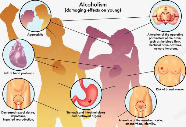 酒精对年轻人的身体影响分析图png免抠素材_新图网 https://ixintu.com 医学研究 装饰 酒精伤害