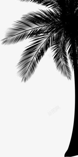 椰子树黑色剪影椰子树装饰素材