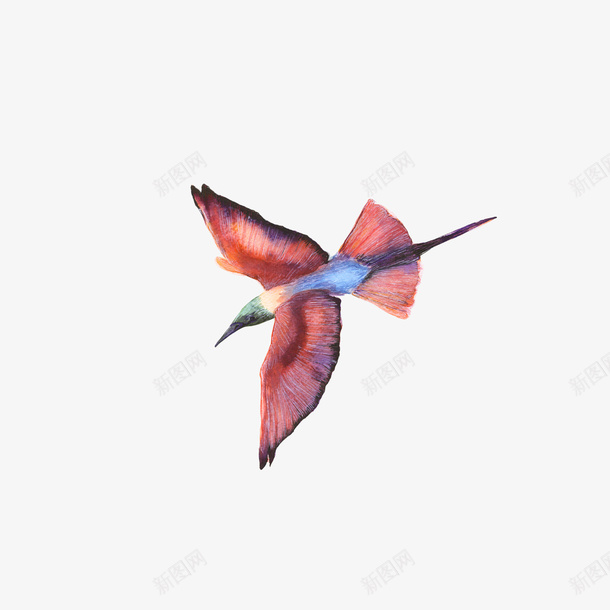手绘的鸟png免抠素材_新图网 https://ixintu.com PNG图形 PNG装饰 小鸟 手绘 粉红色 装饰