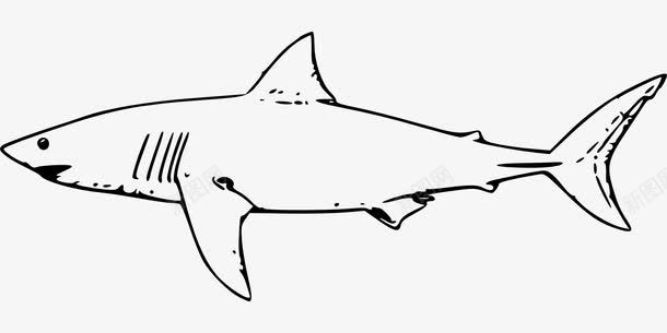 凶猛的鲨鱼png免抠素材_新图网 https://ixintu.com 大白鲨 老虎鲨鱼 鱼 鲨鱼
