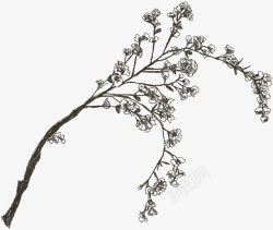 黑白花卉树枝图素材