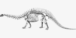 恐龙骨骼素材恐龙骨骼高清图片