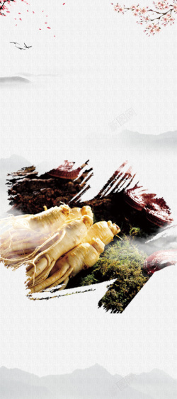 川贝保健品美食保健品展架背景高清图片