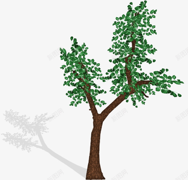 一棵小树png免抠素材_新图网 https://ixintu.com 影子 手绘 枝干 树叶 树叶阴影 简图 绿色