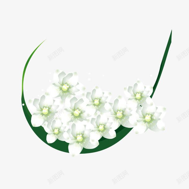 唯美花簇png免抠素材_新图网 https://ixintu.com 唯美 白色 花朵 花簇