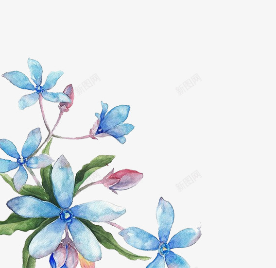蓝色水彩手绘花朵装饰图案png免抠素材_新图网 https://ixintu.com 五瓣花 免抠PNG 手绘 水彩 花朵 蓝色 装饰图案