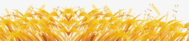 丰收金水稻1png免抠素材_新图网 https://ixintu.com 丰收 植物 水稻 食物