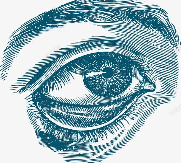 人类眼睛器官手绘表达png免抠素材_新图网 https://ixintu.com 人体内脏 人类眼睛 内脏 内脏图 器官 手绘器官 手绘表达