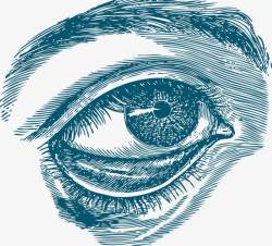 人类眼睛器官手绘表达素材