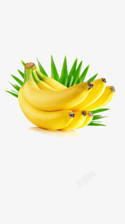 好看的好吃的香蕉素材