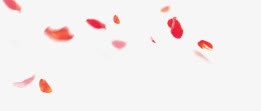 红色花瓣png免抠素材_新图网 https://ixintu.com 红色花瓣 花瓣 花瓣图片 飘落的花瓣