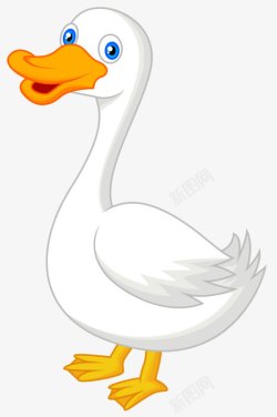 缇芥瘘绗白色鸭子高清图片