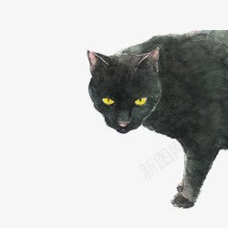 凶恶的黑猫png免抠素材_新图网 https://ixintu.com 凶恶 素材 黑猫
