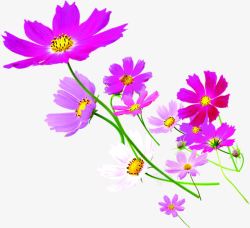 紫色美景花朵装饰素材