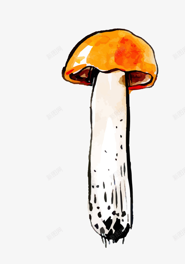 手绘水彩插画蘑菇png免抠素材_新图网 https://ixintu.com 手绘蘑菇 插画蘑菇 水彩蘑菇 矢量蘑菇 蘑菇 蘑菇png