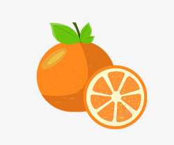 卡通手绘水果橙子素材