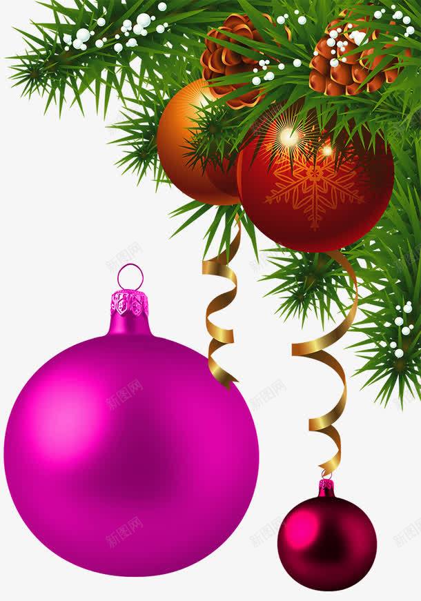 彩色圣诞礼物球和绿色松针png免抠素材_新图网 https://ixintu.com 圣诞礼物球 圣诞节素材 紫色 红色 绿色松针