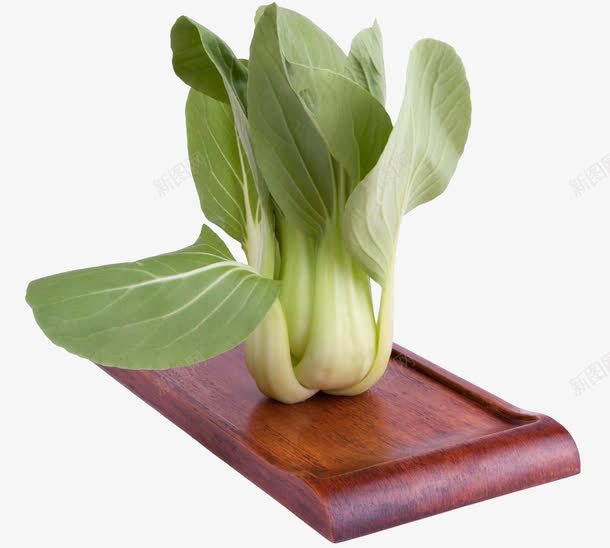 油菜摄影png免抠素材_新图网 https://ixintu.com 实物 小白菜 油菜摄影 营养健康 蔬菜 青菜 香菇油菜