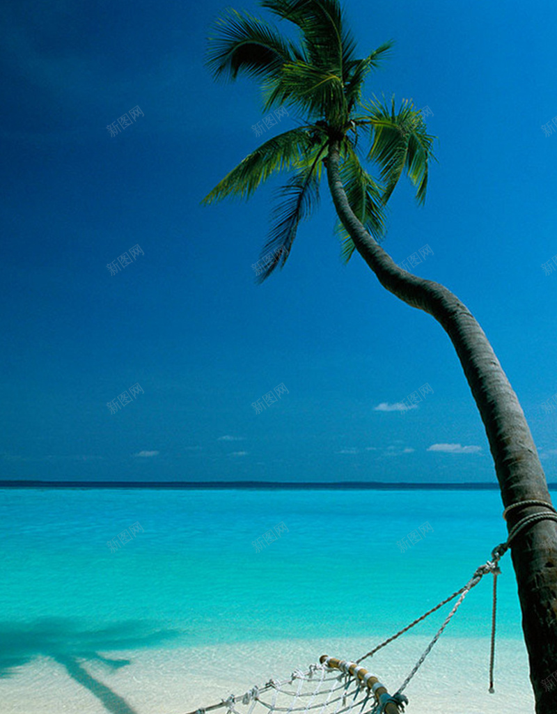 夏日海滩风格背景psd_新图网 https://ixintu.com 摄影 椰子树 海水 海滩 风景