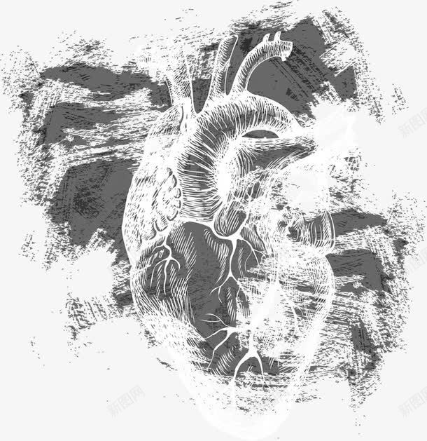 一颗心脏png免抠素材_新图网 https://ixintu.com 人体器官 内脏 创意心脏 手绘心脏