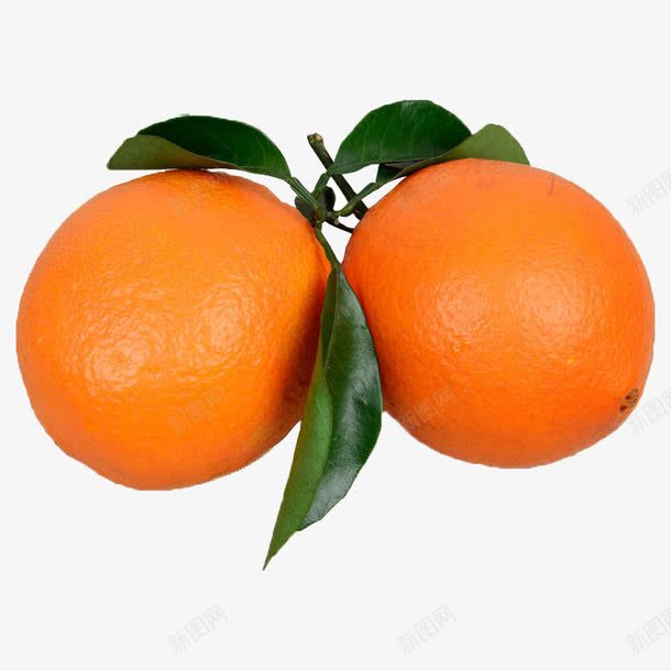 两个绿叶橙子png免抠素材_新图网 https://ixintu.com 产品实物 水果 生鲜 食物