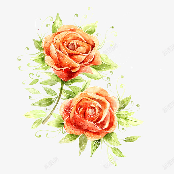 花朵手绘png免抠素材_新图网 https://ixintu.com 彩绘花 彩绘花卉 手绘 手绘植物花卉 手绘花 花卉装饰 花朵手绘