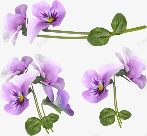 紫色兰花装饰框png免抠素材_新图网 https://ixintu.com 兰花 唯美 紫色 装饰框