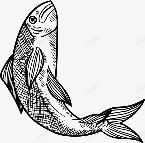 石斑鱼跳跃矢量图图标ai_新图网 https://ixintu.com 一跃而起 石斑鱼 跃出水面的鱼 跳出水面 跳跃的鱼 鱼类 矢量图